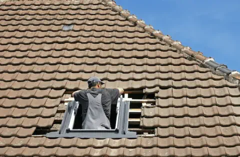 Pose de velux - Meyzieu